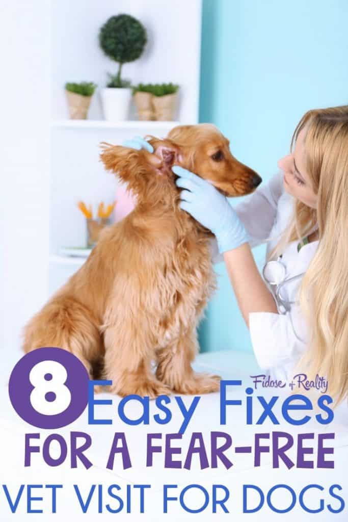 8 Easy Fixes For A Fear Free Veterinary Visit For Dogs 8 Easy Fixes For A Fear Free Veterinary Visit For Dogs