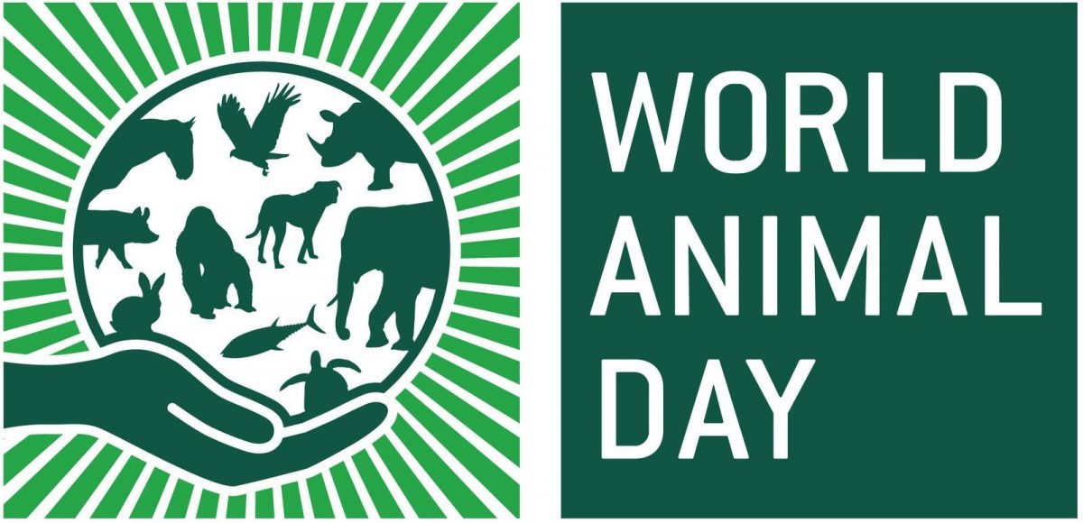 World Animal Day