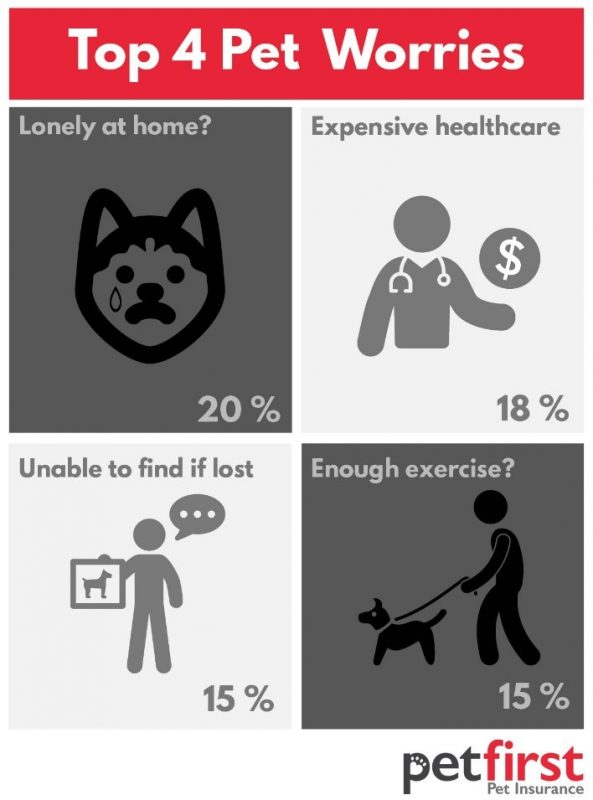 Frets About Pets