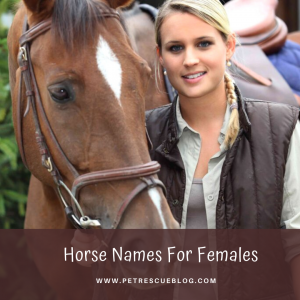 Female Horse Names 