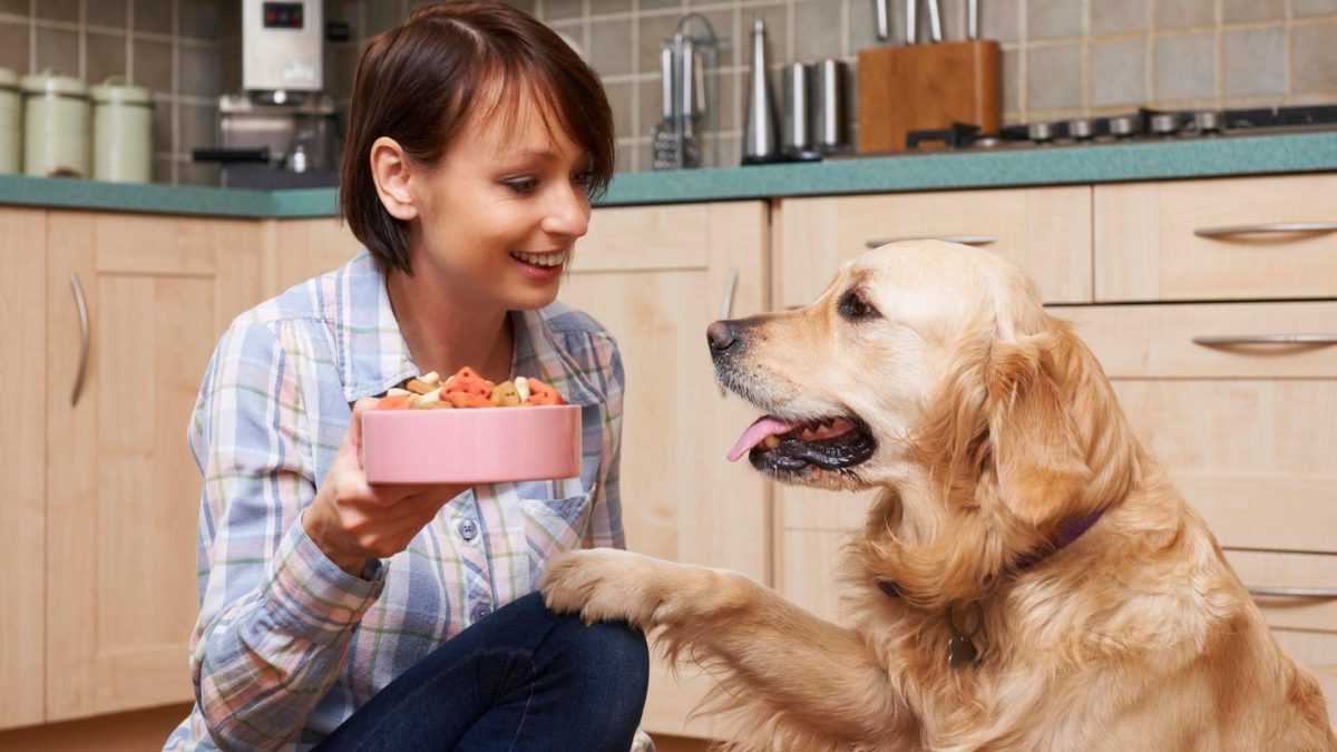 What Can Dogs Not Eat?