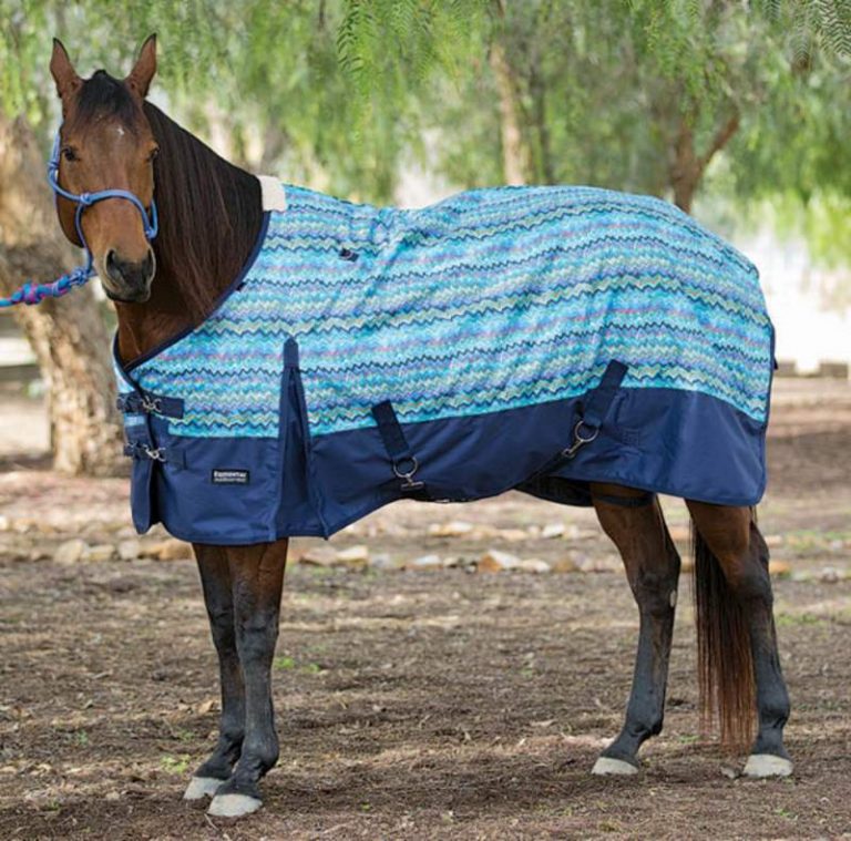 Horse Blanket When It Is Useful For Equine Health