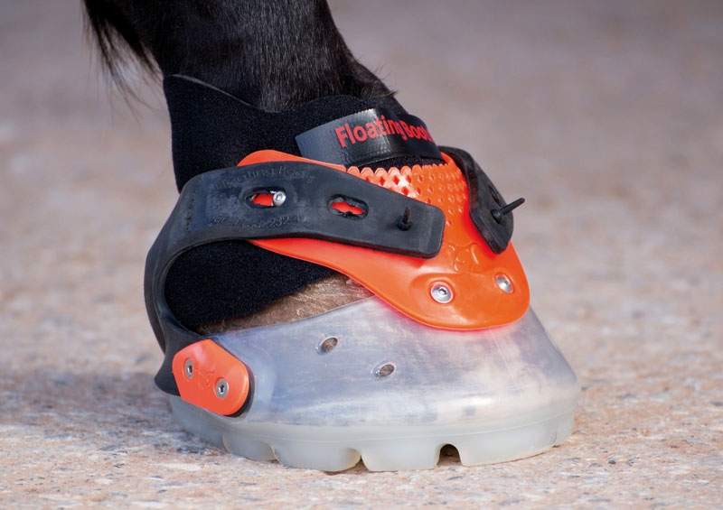 Horse boots