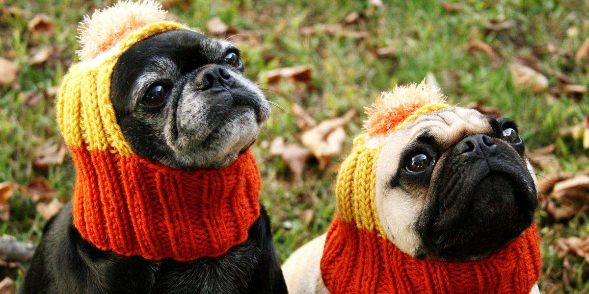 Thanksgiving Embroidery Designs Free Funny Thanksgiving Pictures For thanksgiving-embroidery-designs-free-funny-thanksgiving-pictures-for