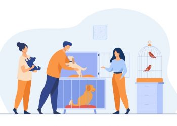 Choosing a dog Breed