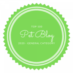 Pet Blog
