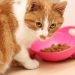 cat food