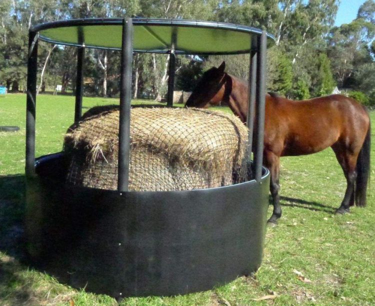 Tips For Feeding Your Horse With Hay Pellets