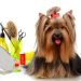 Dog Grooming Guide For Dog Lovers Dog Grooming Guide For Dog Lovers