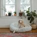How To Make a Perfect Home For Your Dog home for dog
