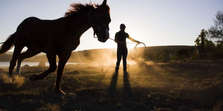 Eating Sand And Other Strange Eating Behaviors In Horses