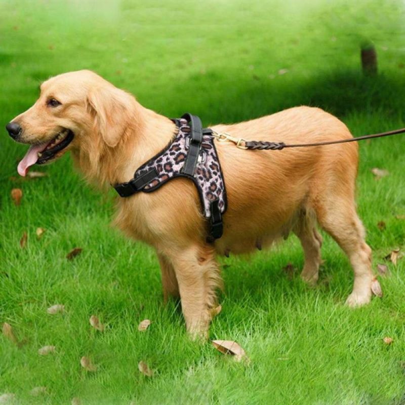 How to choose the size of a dog harness? dog harness