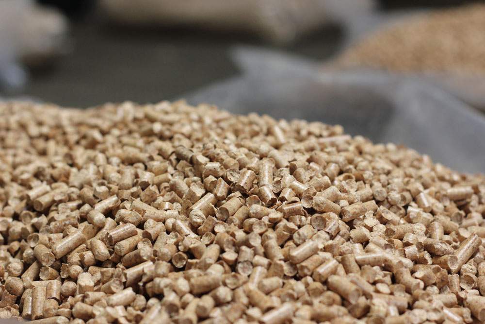 hay pellets 