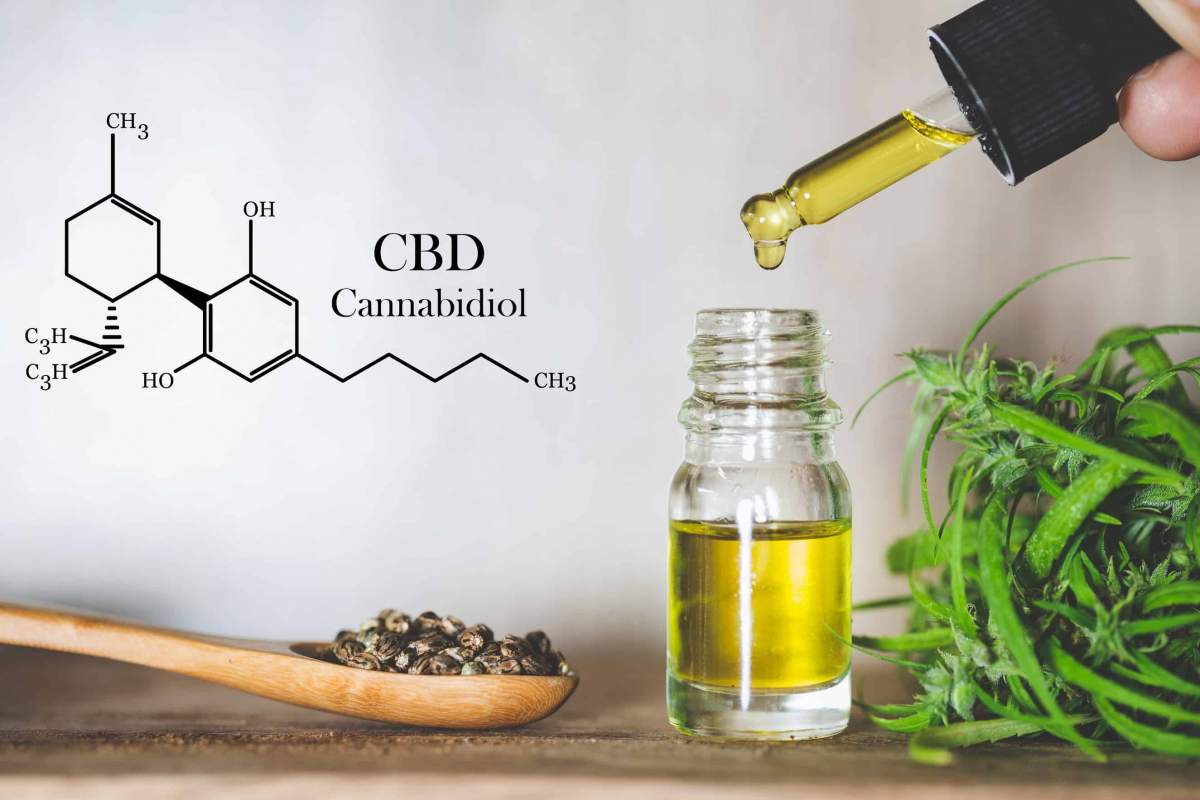 CBD for Pets