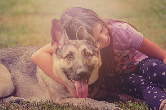 gsd pup