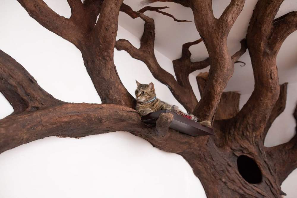 cat tree