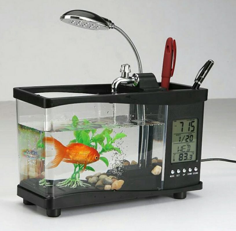 Small fishbowl - MFEIR C580149_1 - The Best Fish Tanks 2021