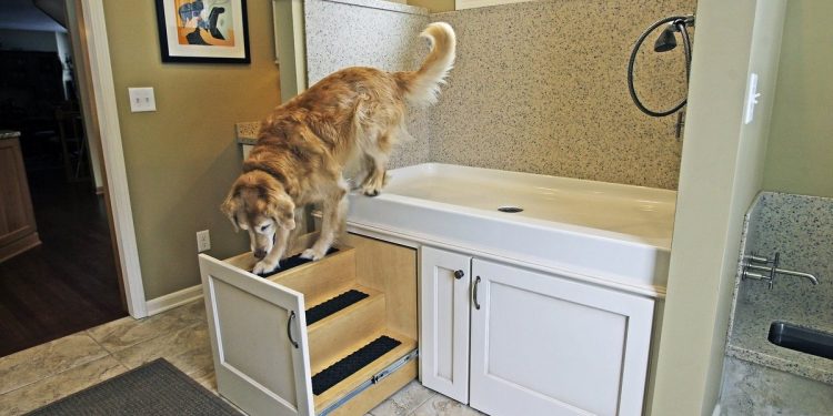 6 Hidden dangers for your dog in your home