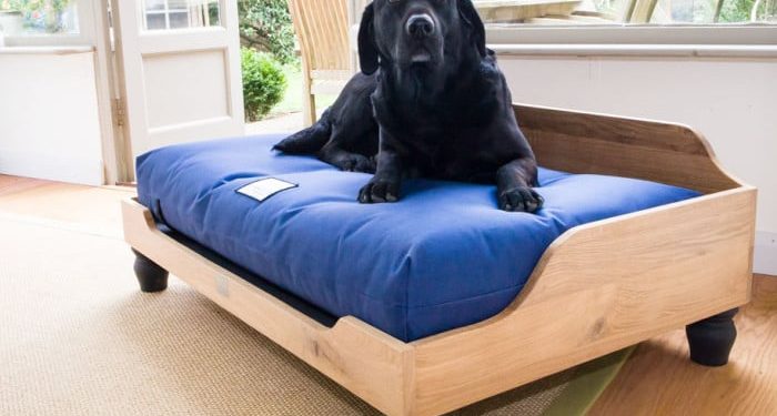 Best Big Dog Bed