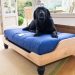 Best Big Dog Bed on the Market Best Big Dog Bed