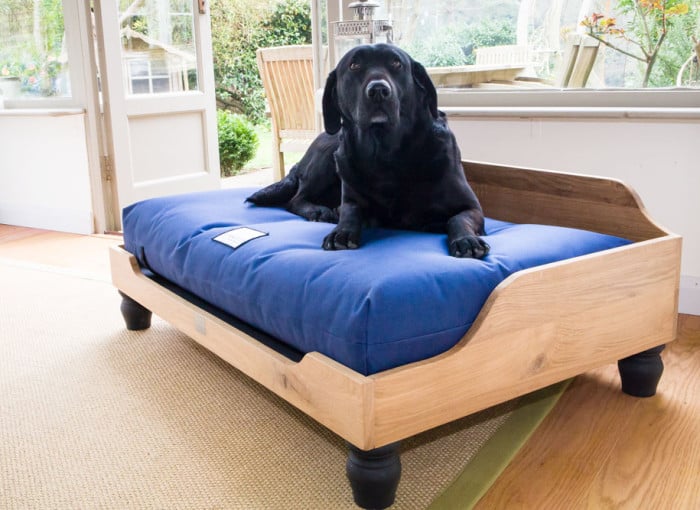 Best Big Dog Bed On The Market