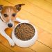 Best Dog Food For Allergies
