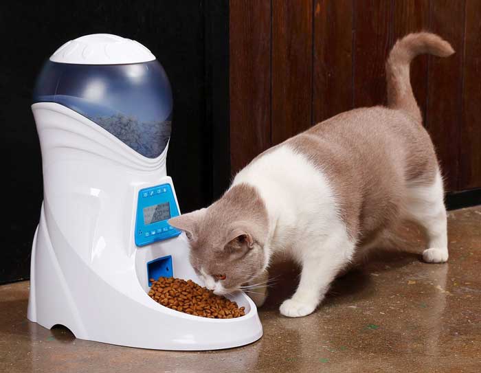 automatic cat food dispenser automatic cat food dispenser