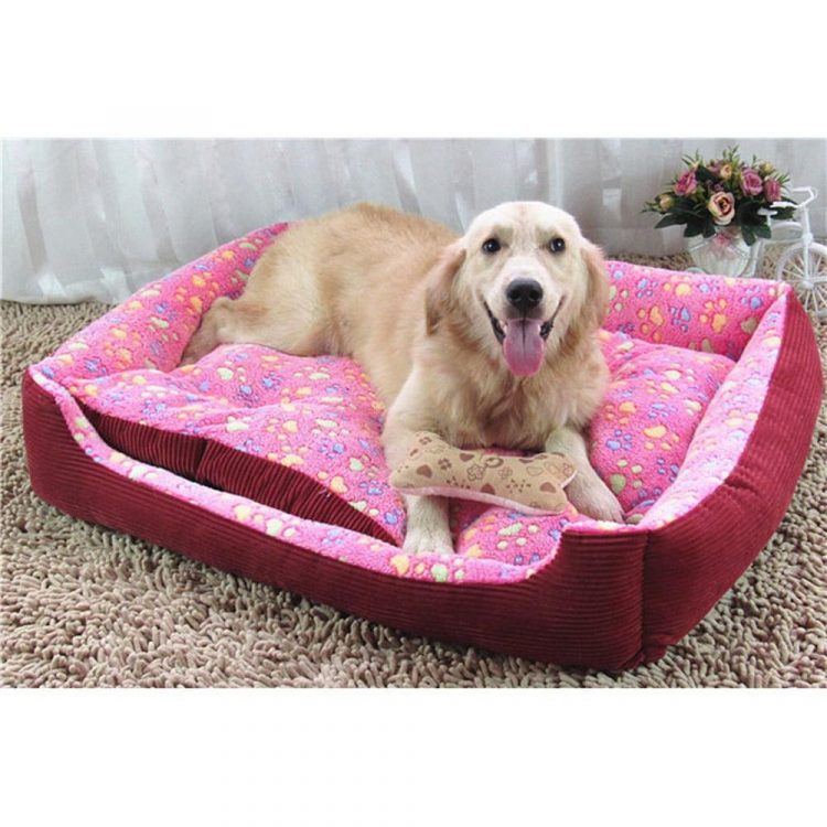 7 Best Dog Beds