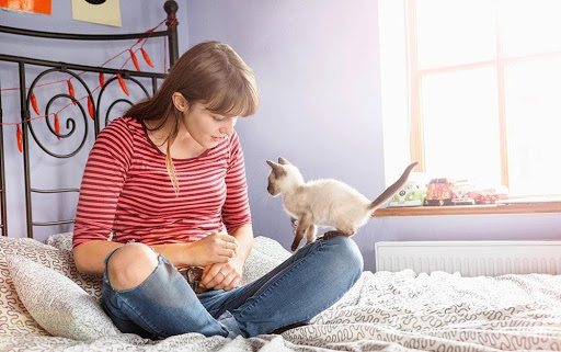 how to keep your cat busy