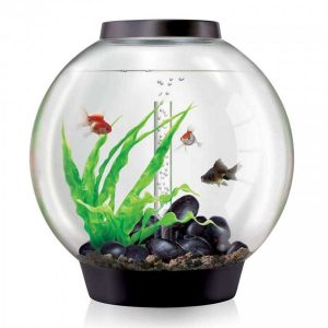 JIANGSU JIANGU002066 - Round fishbowl - The Best Fish Tanks 2021