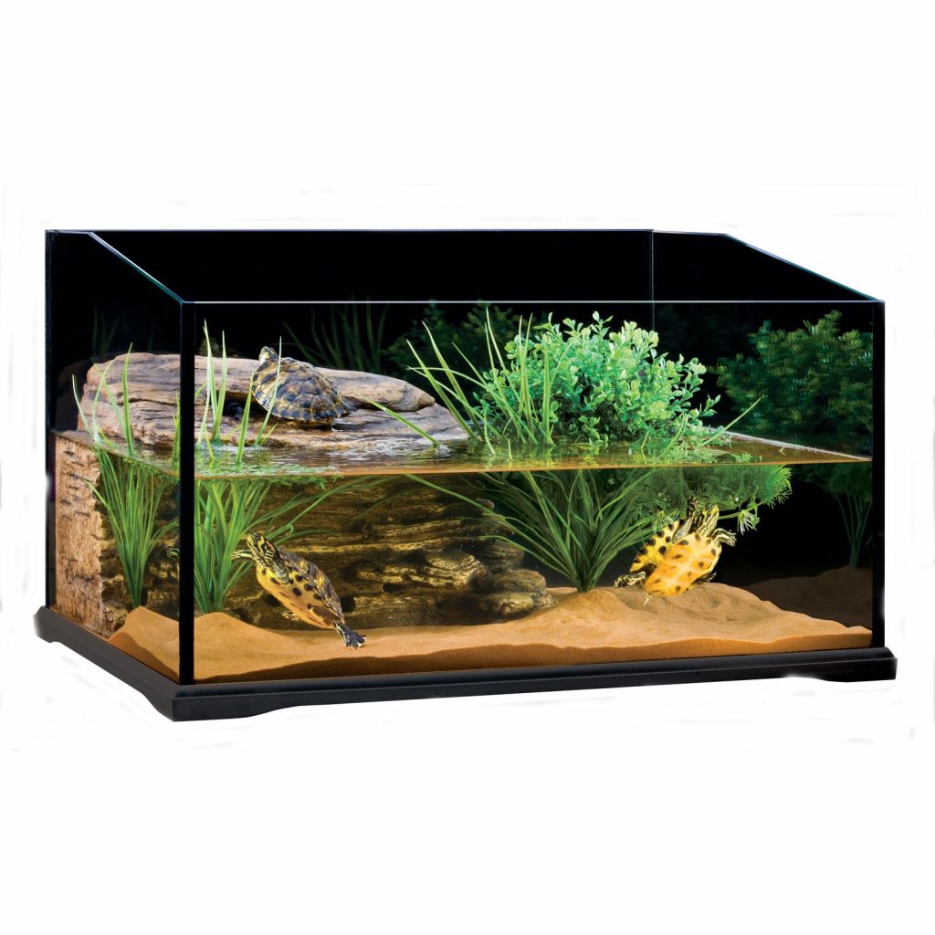 Fish Tanks for Turtles - Cyano Tartarium 80