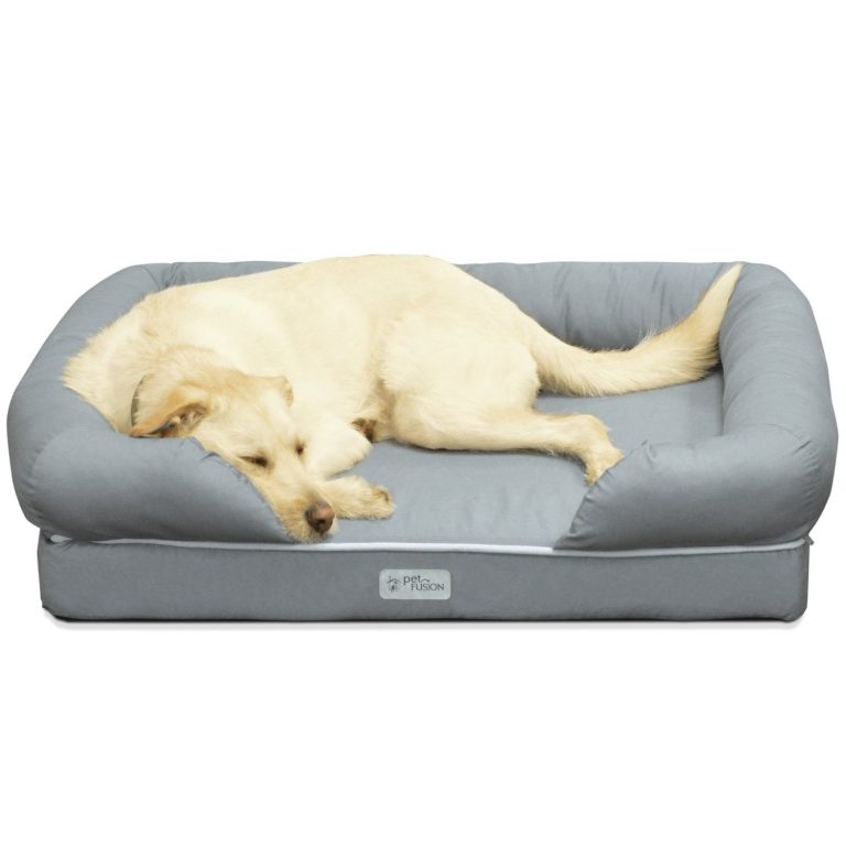 The Importance Of A Comfy Dog Bed