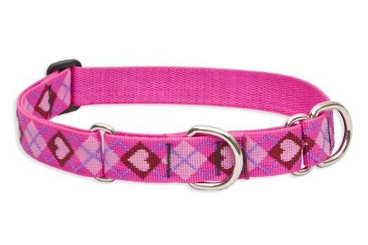 dog collars