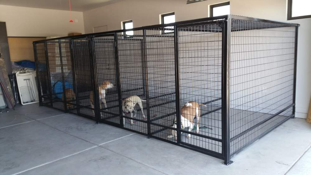 dog boarding house