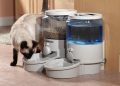 Cat Food Dispenser