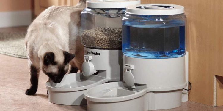Cat Food Dispenser