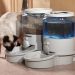 9 Best Cat Food Dispensers Cat Food Dispenser