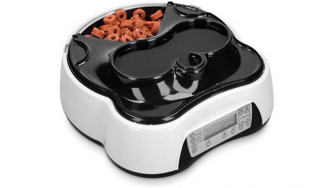 9 Best Cat Food Dispensers Of 2024