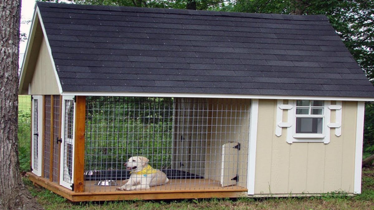dog boarding house