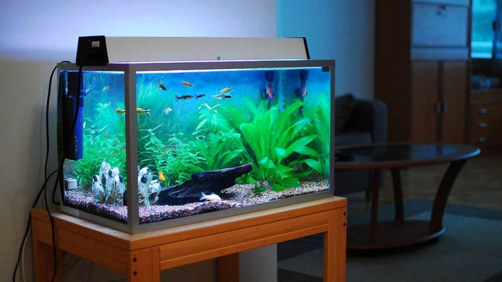 Aquarium Fish Tank - RADYS 11 LITERS