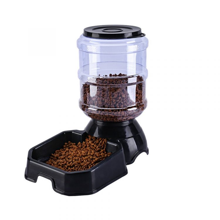 9 Best Cat Food Dispensers Of 2024