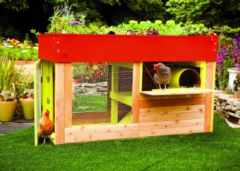 The Best Chicken Coops