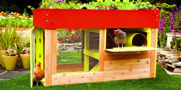 The Best Chicken Coops - Opinions 2022