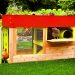 The Best Chicken Coops