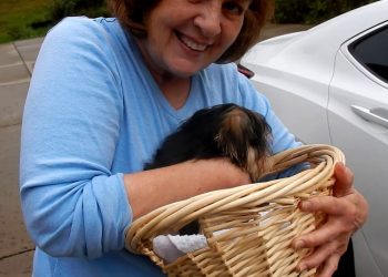 30 Must-Have Items for New Pet Parents in 2021 and Beyond