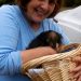 30 Must-Have Items for New Pet Parents in 2022 30 Must-Have Items for New Pet Parents in 2021 and Beyond
