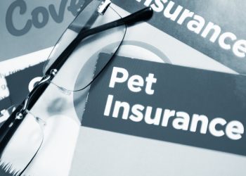 Pet Insurance for My Dog