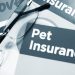 Pet Problems: Is It Worth Getting Pet Insurance for My Dog? Pet Insurance for My Dog
