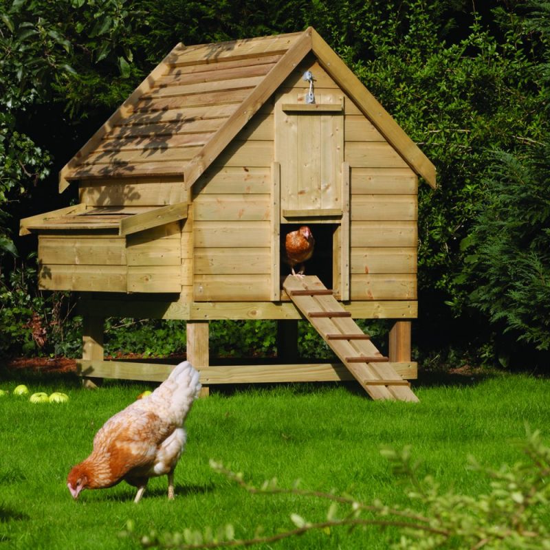 chicken coops