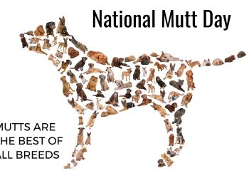 National Mutt Day